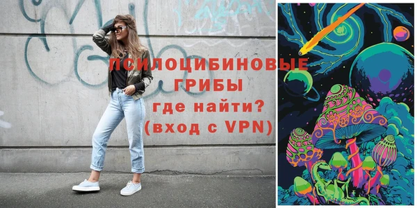 МДПВ Абинск