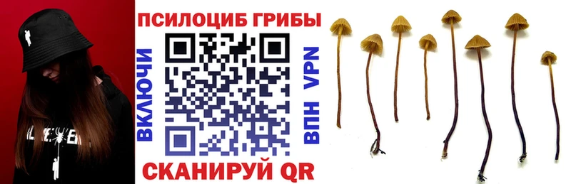 Галлюциногенные грибы мухоморы  Нижнекамск 